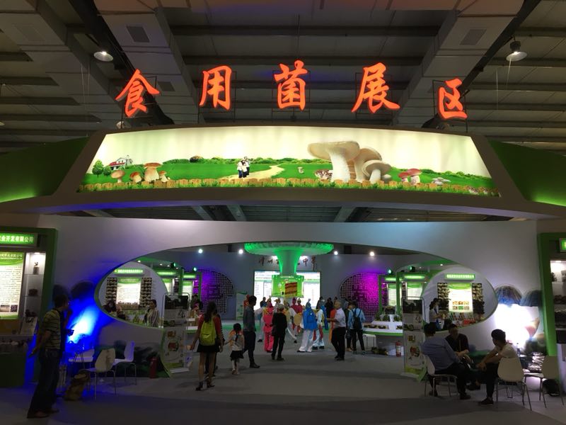 老子有钱lzyq88(中国)有限公司官网