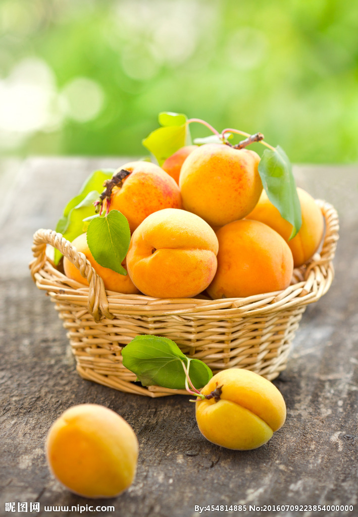 老子有钱lzyq88(中国)有限公司官网