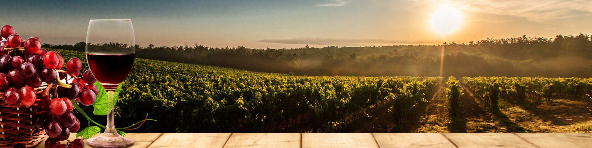 老子有钱lzyq88(中国)有限公司官网