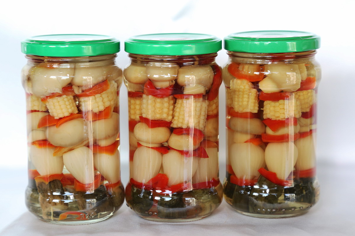 老子有钱lzyq88(中国)有限公司官网