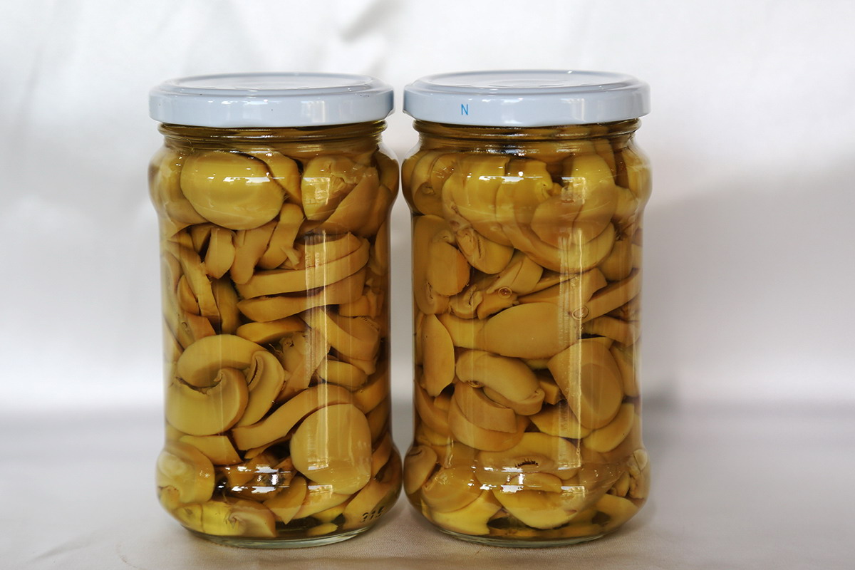 老子有钱lzyq88(中国)有限公司官网